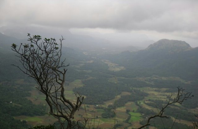 Yatawatta Nature